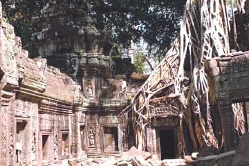 The Ta Prohm temple where trees cohabit with the walls and roofs.   