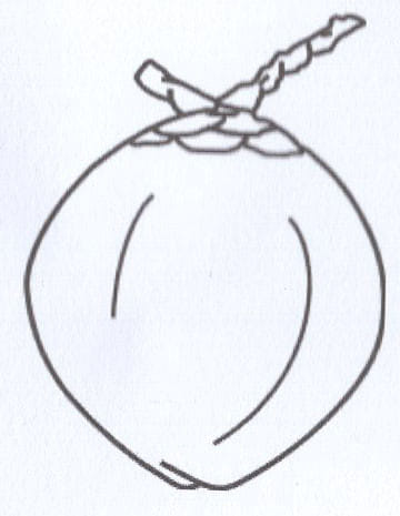 Party Symbol