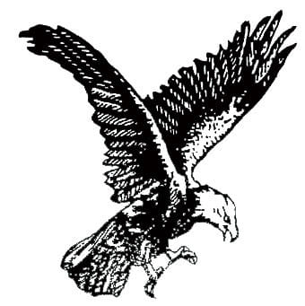 Party Symbol