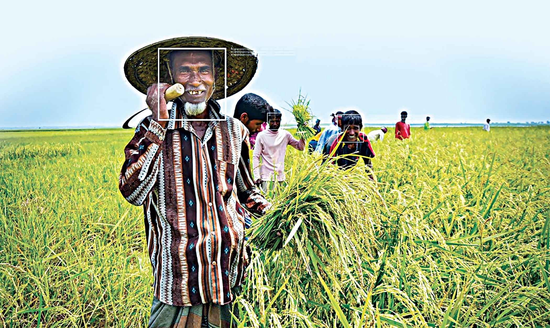 cash crops of bangladesh paragraph
