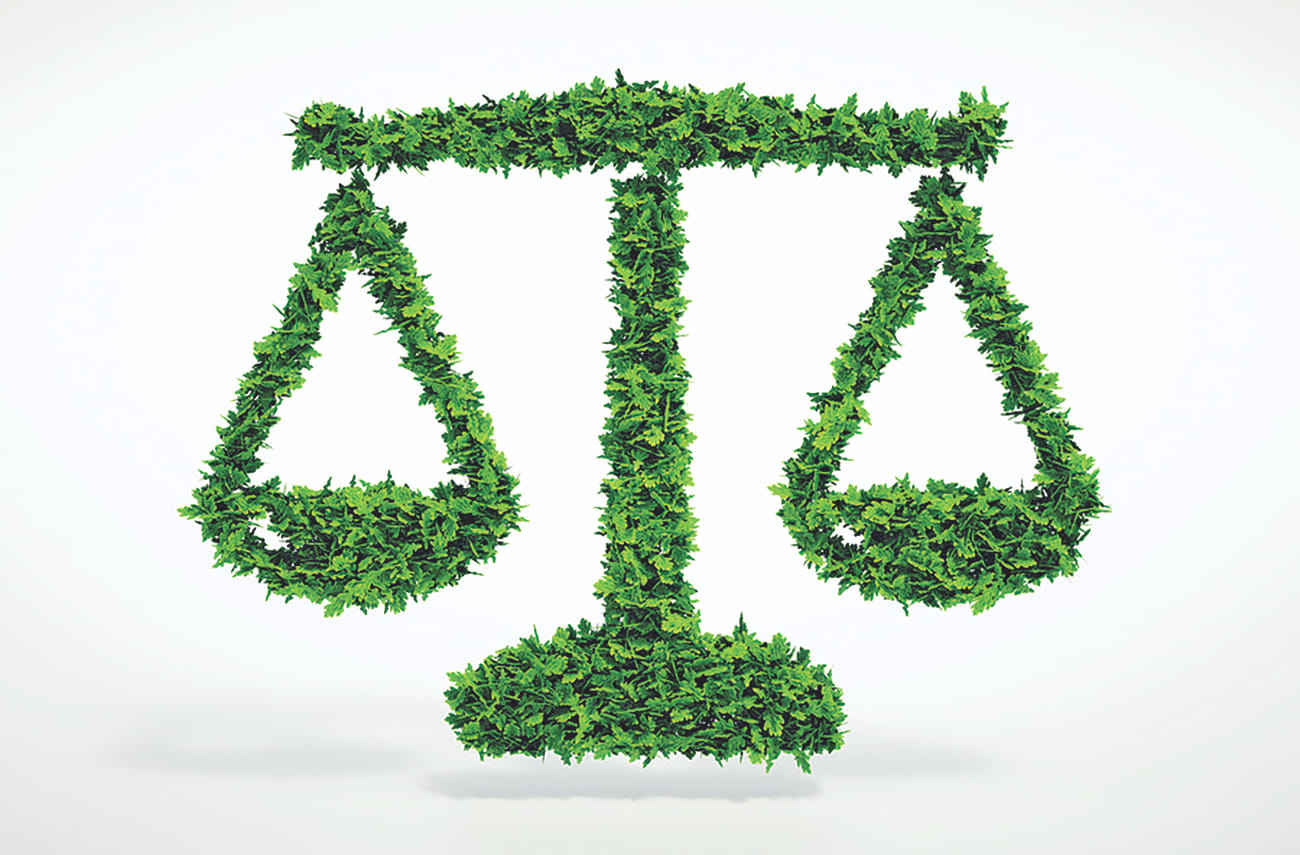 Landmark environmental law verdicts | The Daily Star