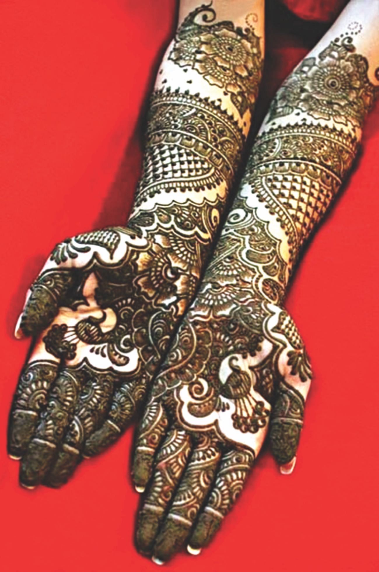 Mehndi Designs | Simple Mehndi Stock Photo - Image of tatto, artist:  166195148