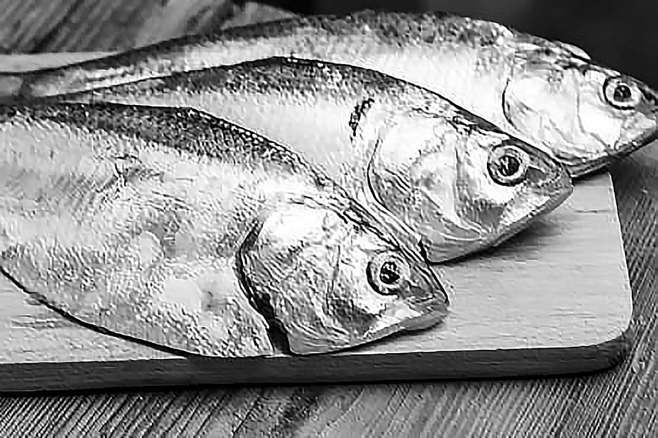 205 Menhaden Fish Stock Photos, High-Res Pictures, and Images - Getty Images