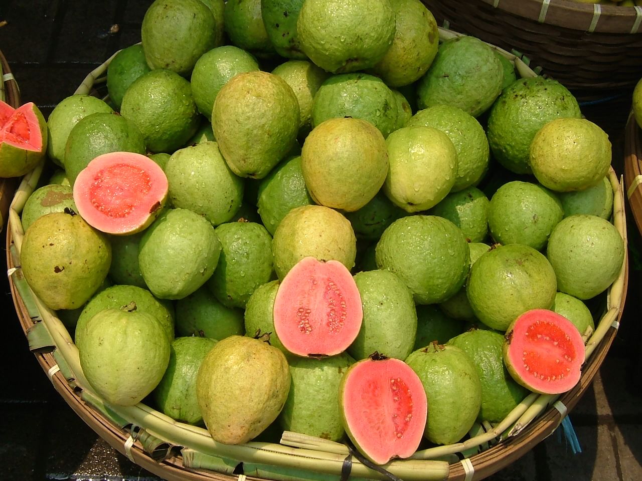 How to make the most of guava season | The Daily Star