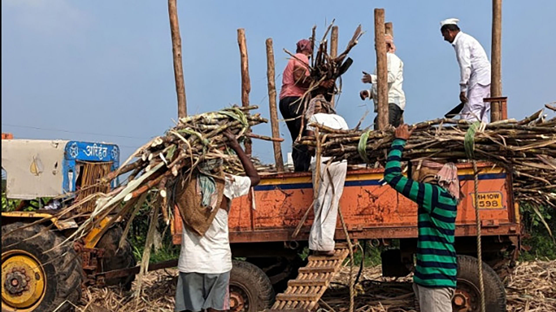 India extends curbs on sugar exports to calm domestic prices