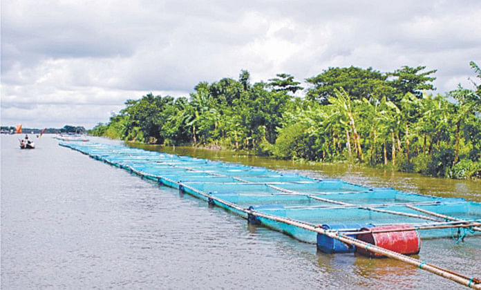 Fish farming in cages spreading out