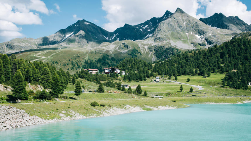 Austria(a) pexels-brian-de-karma-806590-1686302.jpg