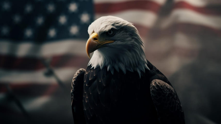 USA_Eagal.jpg