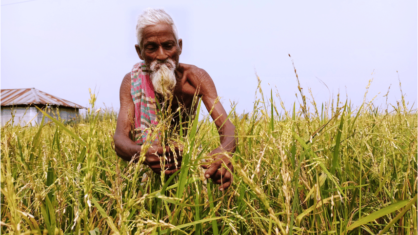 Lalmonirhat farmer.png