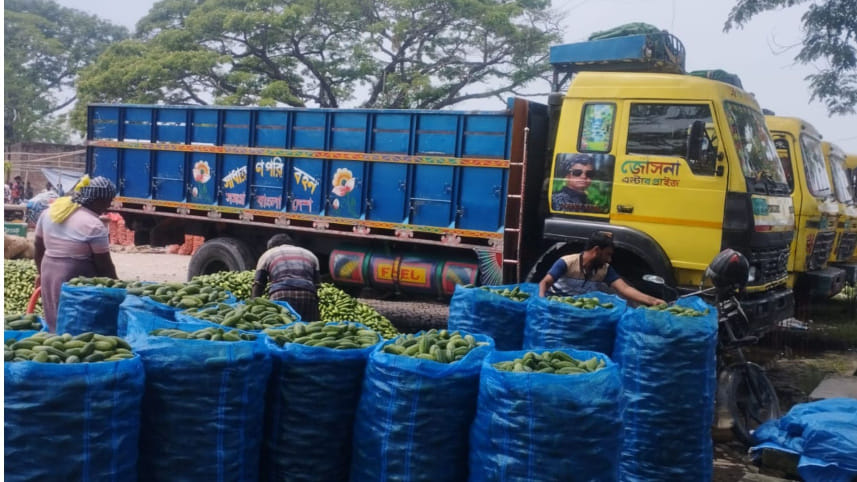 Transport costs for a round trip between Rajshahi and Dhaka’s Karwan Bazar have increased from Tk 23,000–24,000 to Tk 27,000–28,000. Photo: Star