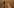 low mobile network.png