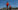 AFP__20260524__B3VW6WL__v2__MidRes__FblWc2026JorTraining.jpg