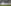 Mushfiqur Rizwan Sylhet Test.jpeg