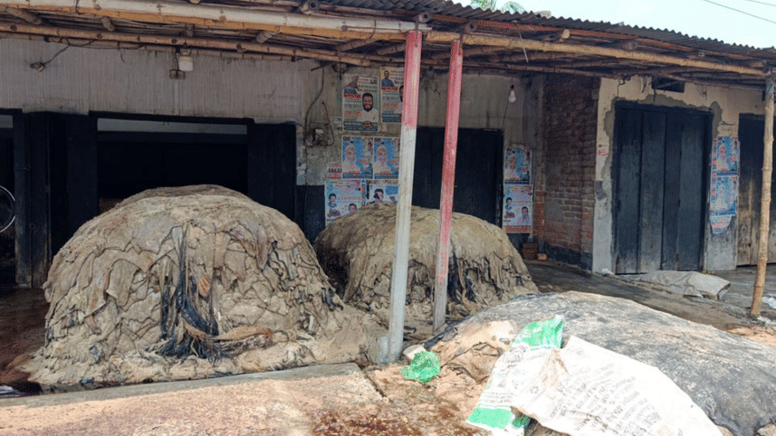 Every Eid-ul-Azha, Natore becomes the largest rawhide wholesale hub in the region. Photo: Star