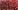 communist-left-leftist-parties-india.webp