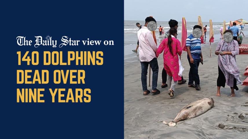 140_dolphins_dead.jpg