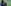 AFP__20260601__B4MP763__v1__MidRes__FilesTennisGbrWomenWilliams.jpg