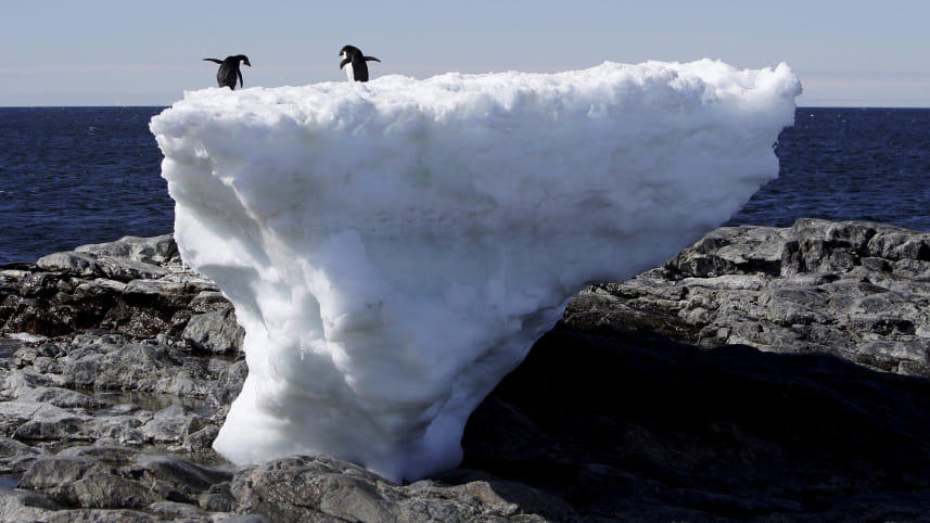 Antarctic-Peninsula-Temperatures.jpg