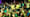 Brazil fans.jpg