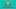 DMP logo.jpg