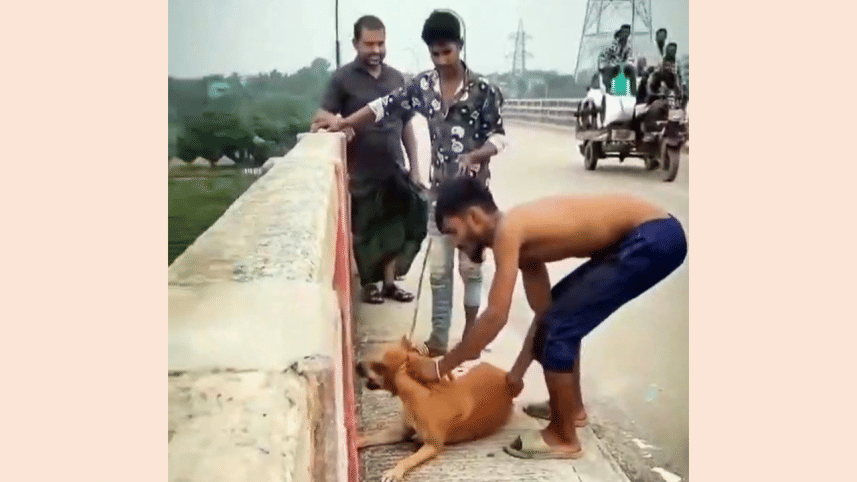 Dog killing in Narsingdi.png