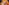 IMG_2085.jpeg