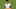 Messi.JPG