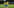 Vinicius Jr.JPG
