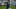 Brendon McCullum.jpg