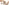 ED_1-development.jpg