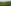 Ed2-Sundarbans.jpg