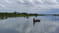 Huji River (1).jpg
