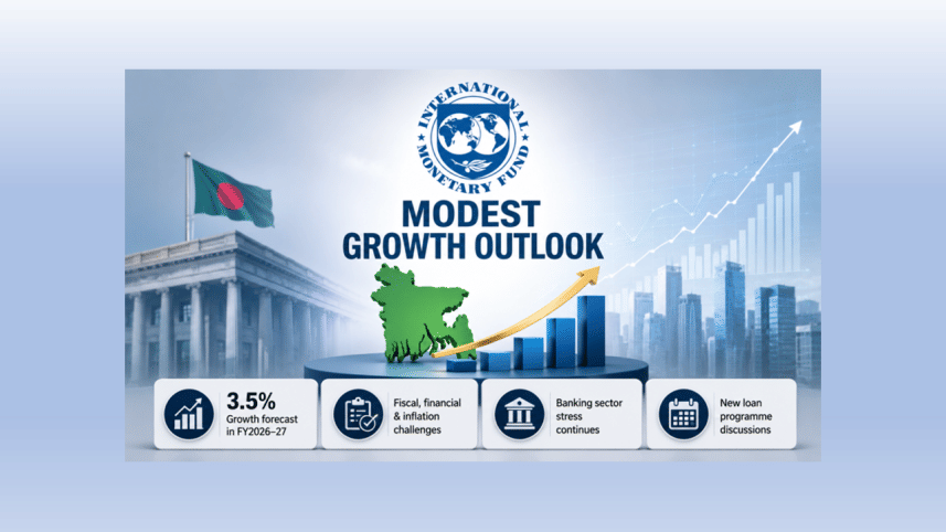 IMF visual.png