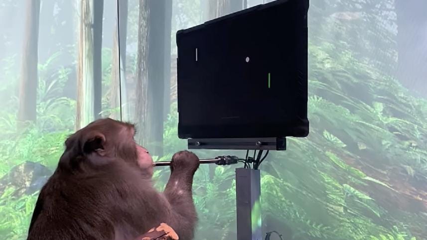 elon-musk-NeuraLink-monkey-mind-control-game-video--scaled.jpg