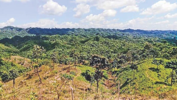 lathitila reserve forest