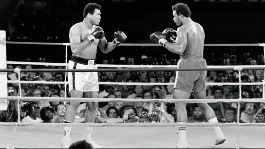 ALI-5-fights-1-web.jpg