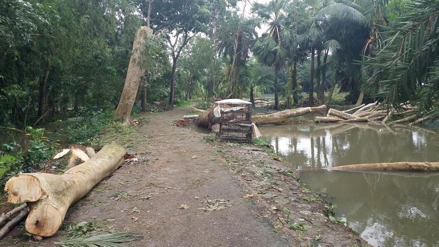 Cyclone Bulbul damaged 44,563 households in Bagerhat
