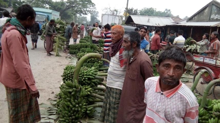 Banana trading hampered.jpg