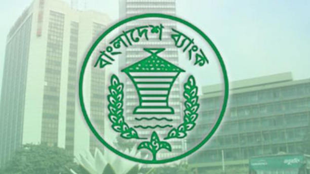 BB suspends lending activities of S Alam-linked banks