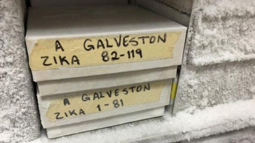 bbc-zika-frozen-in-lab-2-web.jpg