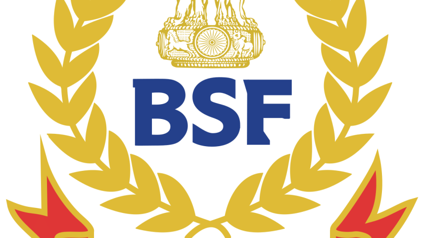 bsf logo.png