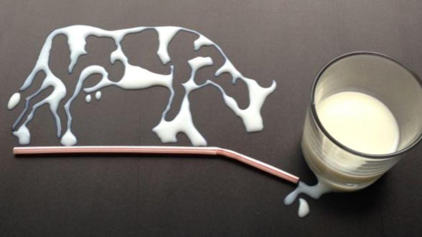 BSTI responsibility dairy products.jpg