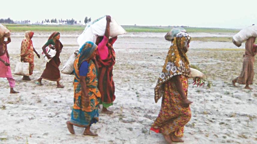 char women's life.jpg