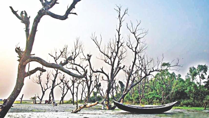 climate change 1.jpg