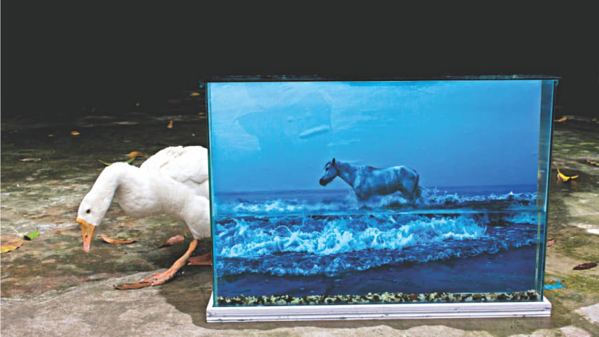 COEXISTENCE