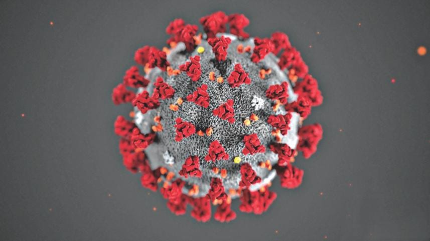 corona virus.jpg