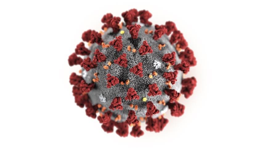 Coronavirus.jpg