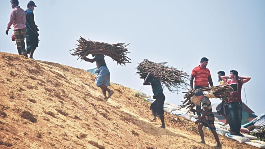 Cox's Bazar forest in danger
