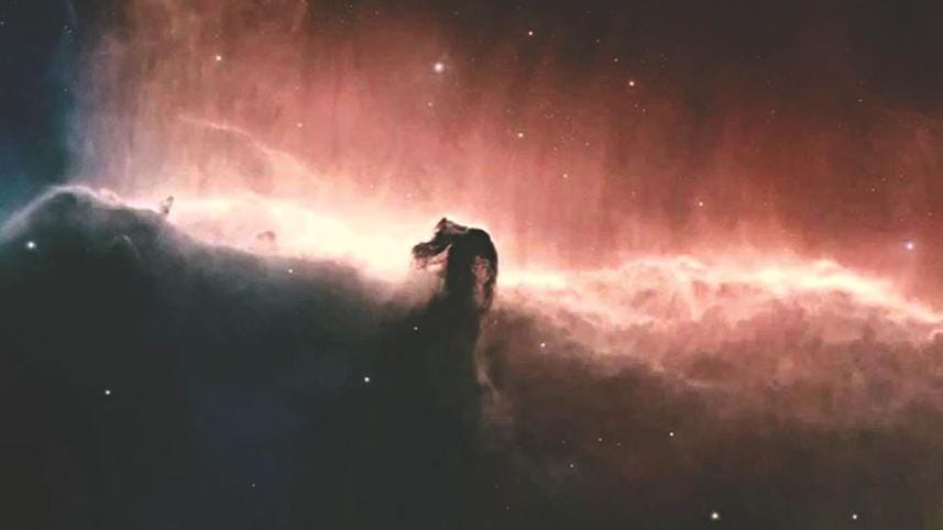 Daily Star-Bengal Arts Precinct