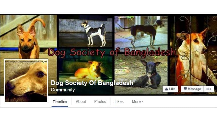 Dog-society-of-Bangladesh-1.jpg